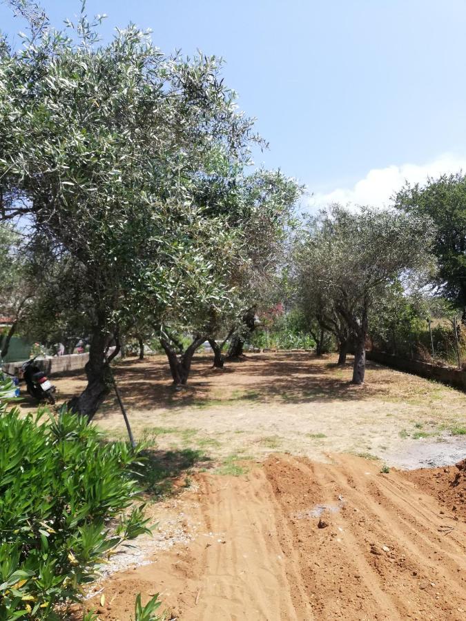 Anestis Studios Agios Georgios  Exteriér fotografie